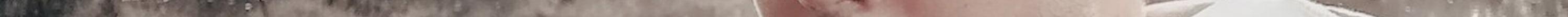 Performance Tracking