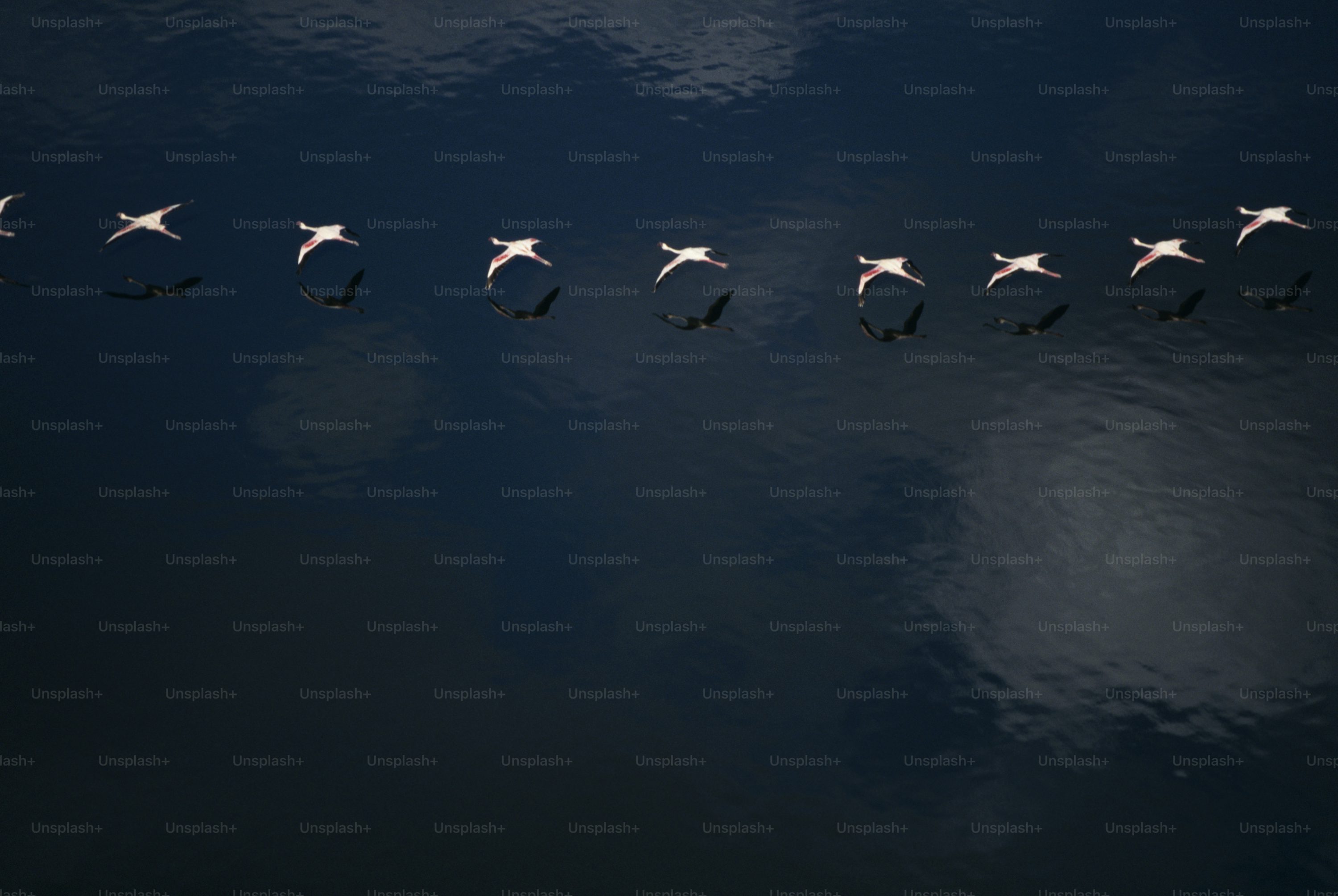 Performance Tracking