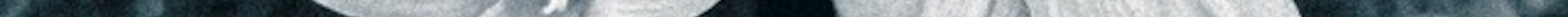 Performance Tracking